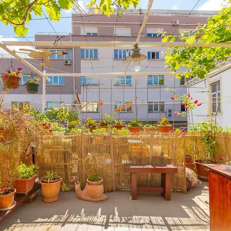 Studio Ibis دوبروفينك